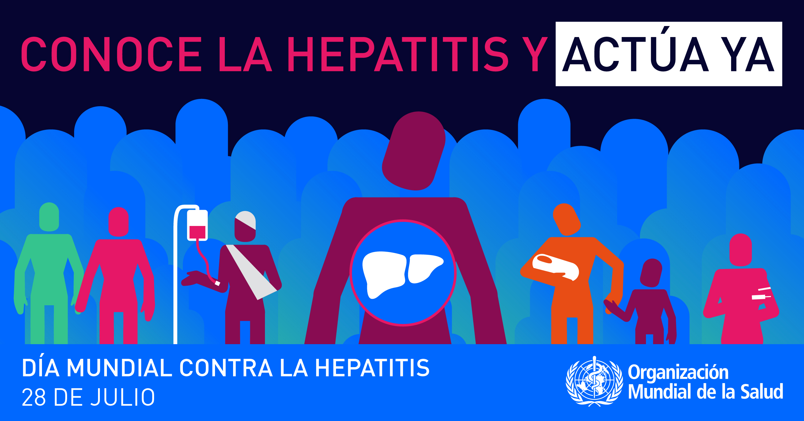 28 julio hepatitis