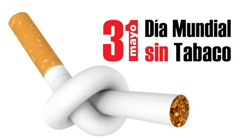 31 tabaco